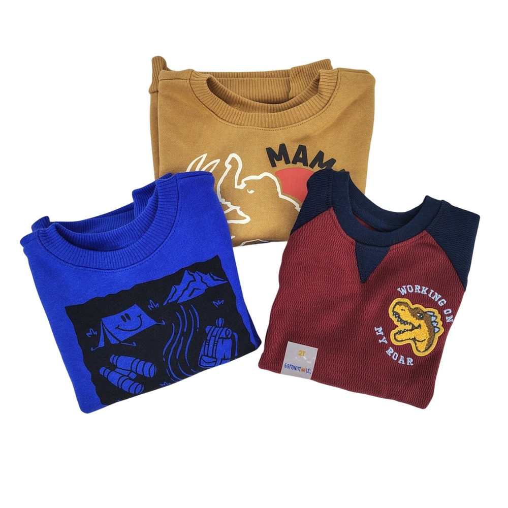 Garanimals Sweatshirt Thermal Shirt Lot‎ Boys 2T Red Dinosaur Nature 3pc NEW